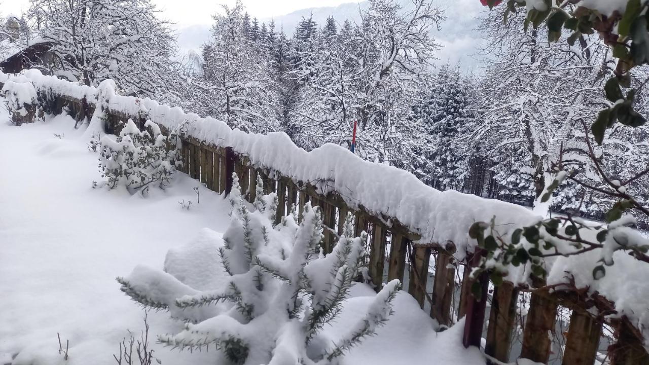 Ferienhaus Waldhof Хермагор Екстериор снимка